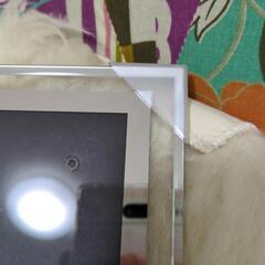 未使用品 A4サイズ ガラスフォトフレーム 縦横両用・壁と卓上の2種対応の画像