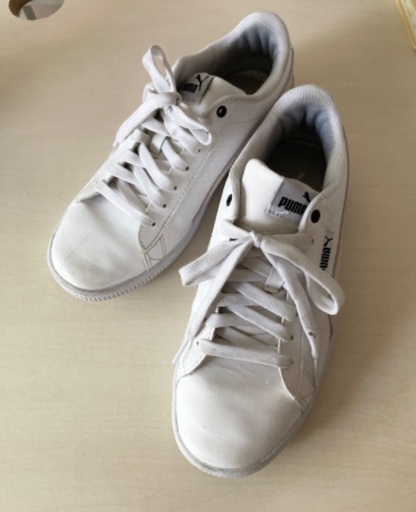 PUMA 24.5 スニーカー