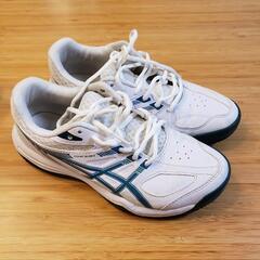 テニスシューズ 240mmの画像