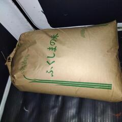 コシヒカリ　古米