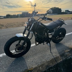 ヤマハ　TW225 スカチューン　実働の画像