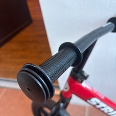 ストライダーの画像