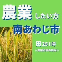 ～農業盛んな南あわじ市！農地用地・田～