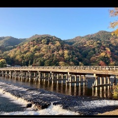 ゲストハウス運営のお手伝い/清掃スタッフ　来年春オープン予定の画像