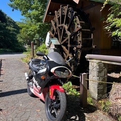 アプリリア rs50の画像