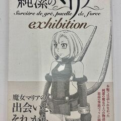 マンガ 純潔のマリア4巻セット 【210】の画像