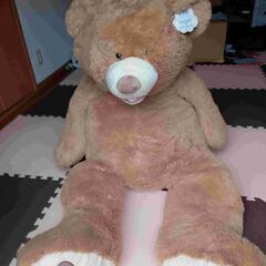 コストコ等身大　TEDDYBEAR