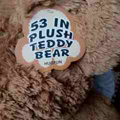 コストコ等身大　TEDDYBEARの画像