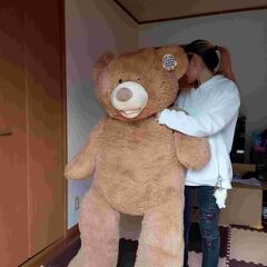 コストコ等身大　TEDDYBEARの画像