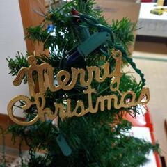 Xmasツリー🎄の画像