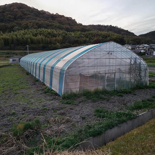 パイプハウス