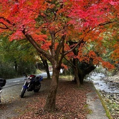 12月8日　ツーリングに行きませんか！
