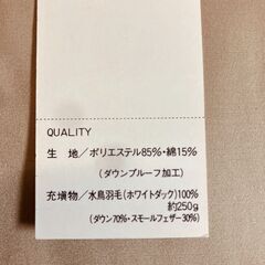 Feather Land ダウンベスト（ベージュ）サイズ：メンズＭの画像