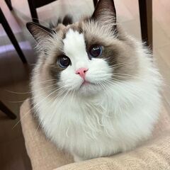 お友達♪♪募集