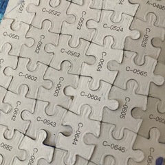 1000ピースパズル
の画像