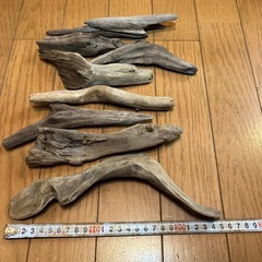 流木　①ネコポスサイズ