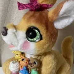 カンガルーのママと赤ちゃんカンガルー親子　