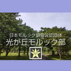  7月12日(土) 光が丘公園でモルックやります!!【光が丘モルック部（日本モルック協会公認団体）】練馬区  - 板橋区