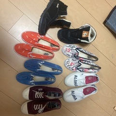 6 テニス 23cm
