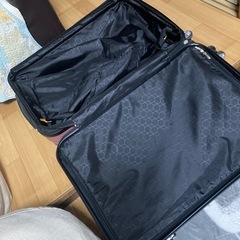 キャリーバッグの画像