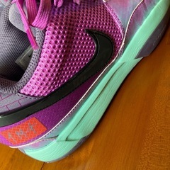 ジャモラント1の画像