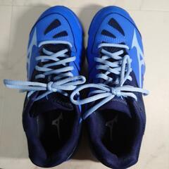 ミズノバドミントンシューズ