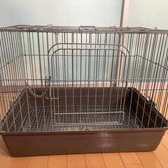 ミニマルランド うさぎが上手に飼えるリビングルーム ブラウン L 
