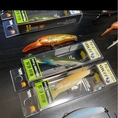 エリアトラウト　ミノーセット　値下げしました！の画像