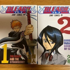 BLEACH1.2