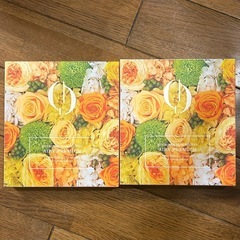 芦屋美整体　骨盤スリムショーツ　M2枚セット