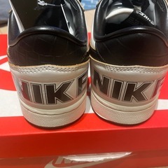 ナイキ ターミネーター ロー プレミアムの画像