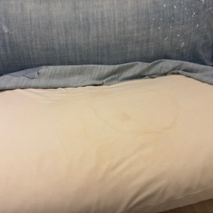 journal standard Furniture RODEZ SOFA 2P DENIM ロデソファーの画像