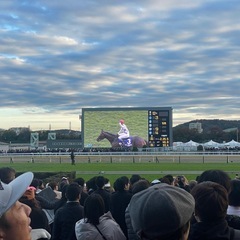 競馬を一緒にやりませんか？初心者・未経験大歓迎！競馬仲間募集😃 - 中野区