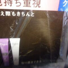 （管理‐１７）Bigen香りのヘアカラー白髪用（ブラウン５）未使用品２箱セットの画像