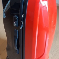 PROTEX　レーシング　キャリーバッグの画像