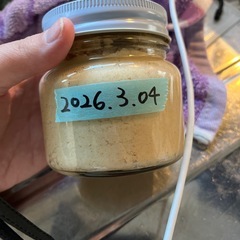 創味シャンタン！