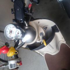 原付 VINO50 sa26j【好調】