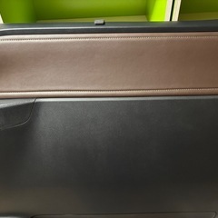 エスクァイア　内張の画像