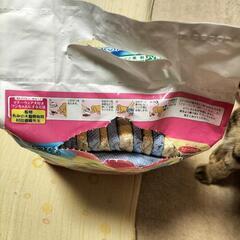 犬用マナーウェア　SSサイズ　ユニチャームの画像