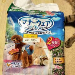 犬用マナーウェア　SSサイズ　ユニチャーム