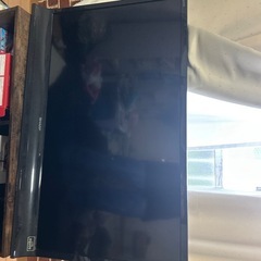 テレビ