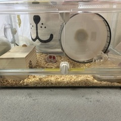 GEX グラスハーモニー600プラス【とっても静かなハーモニーホ...