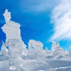 雪❄排雪作業