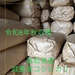 要在庫確認 鳥取産 減農薬コシヒカリ(24年産)モミ ひと袋(約...