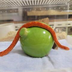 コーンスネーク