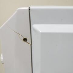 マイカ　パネルヒーター　電気ストーブの画像