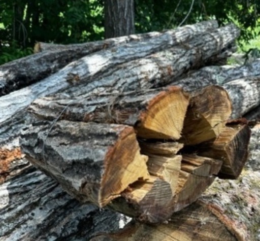 在庫わずか ナラのみ。乾燥済 薪 東信地区配達込