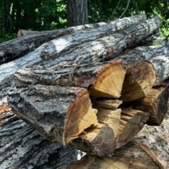 在庫わずか ナラのみ。乾燥済 薪 東信地区配達込