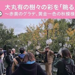 丸の内は紅葉のベストシーズン！！