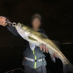 名古屋港　ボートシーバス🎣 - 弥富市